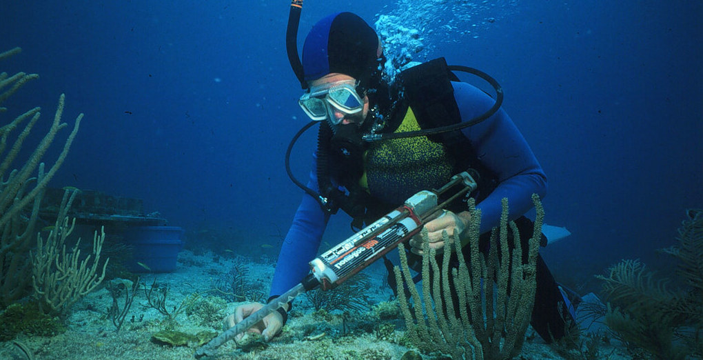 Marine Biologist helping coral reef