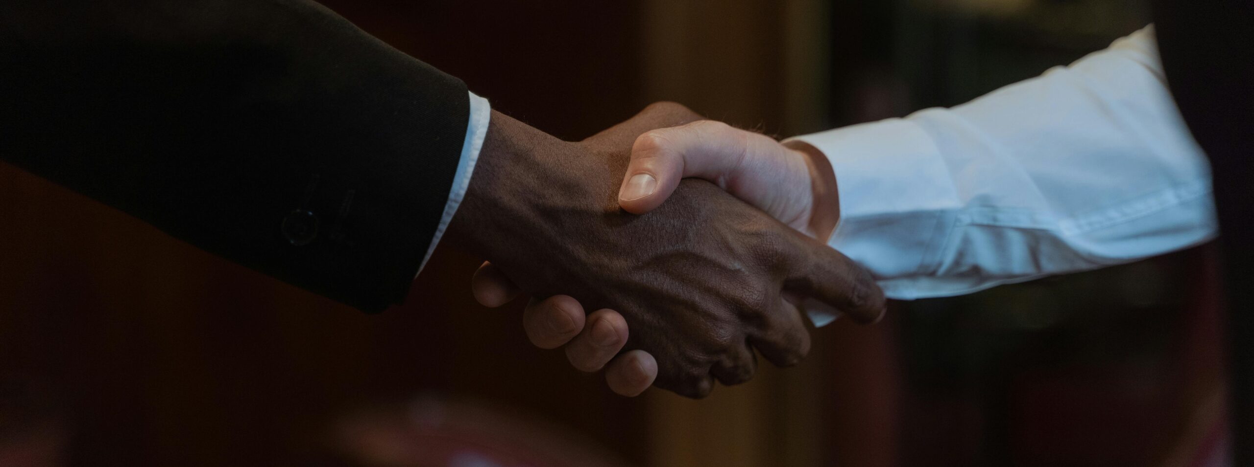 handshake between 2 business partners